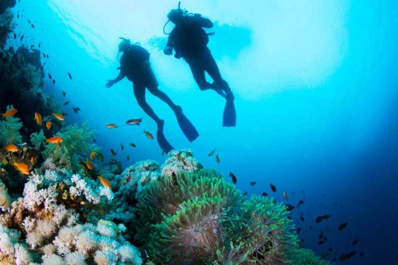 2 Divers Underwater